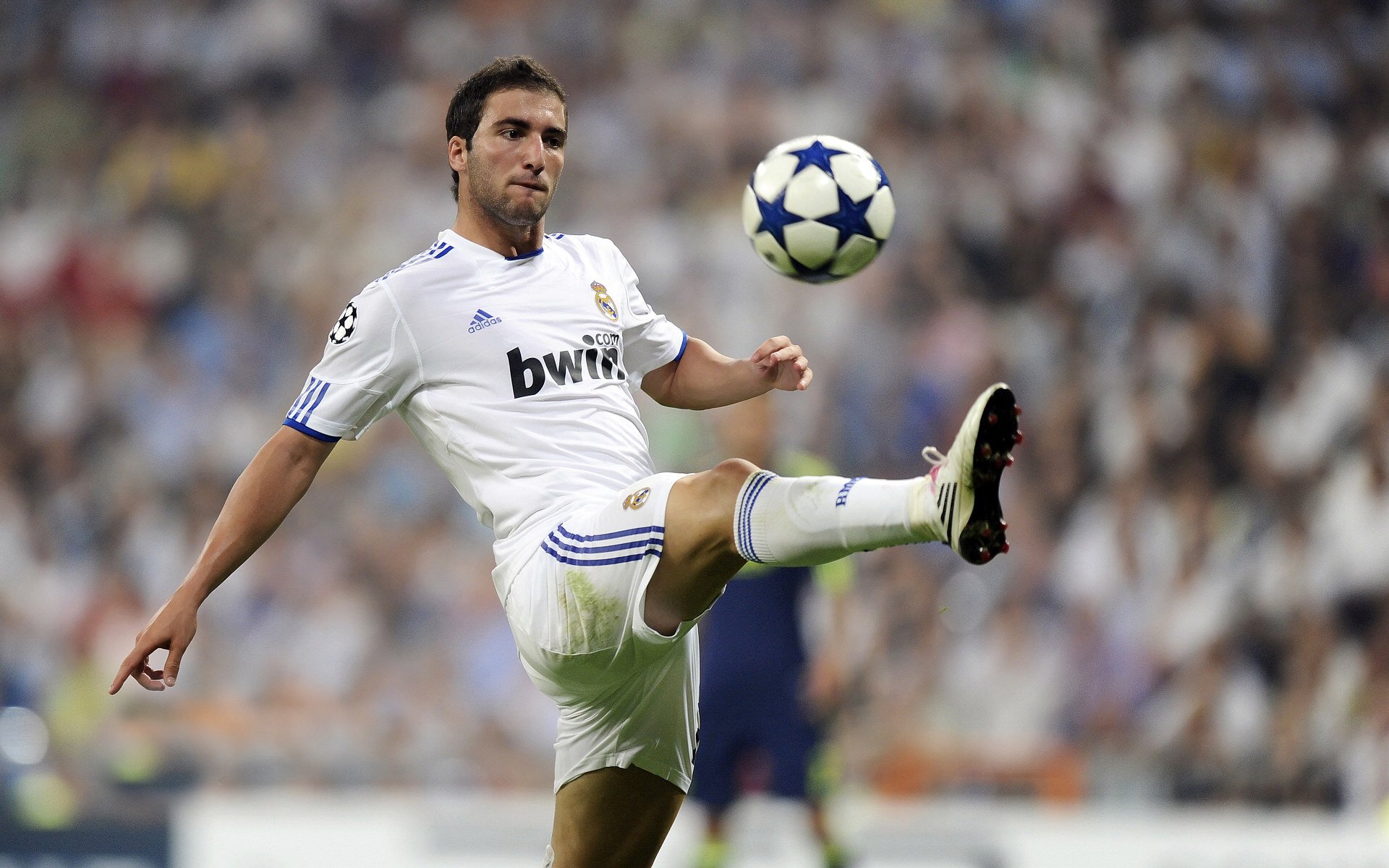 _布鲁克林街舞赛：青春街头文化典范_，布鲁克林的街区